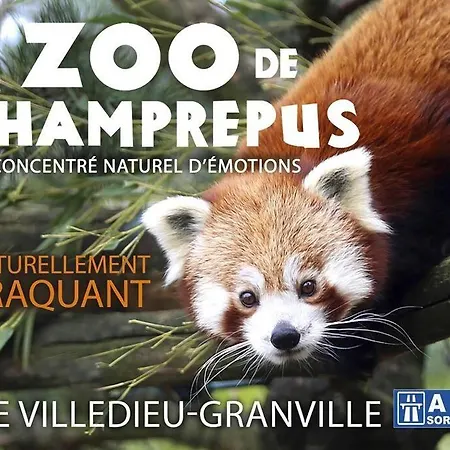 Le Petit Atelier, Centre-ville, Vue Riviere Villedieu-les-Poëles