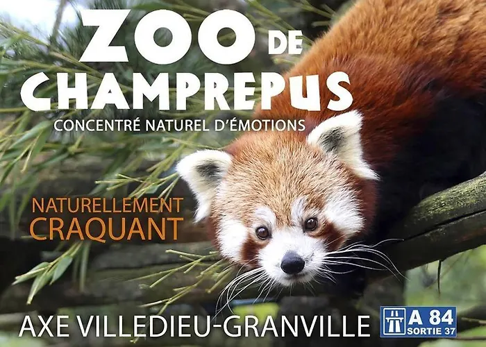 Le Petit Atelier, Centre-ville, Vue Riviere Villedieu-les-Poeles-Rouffigny